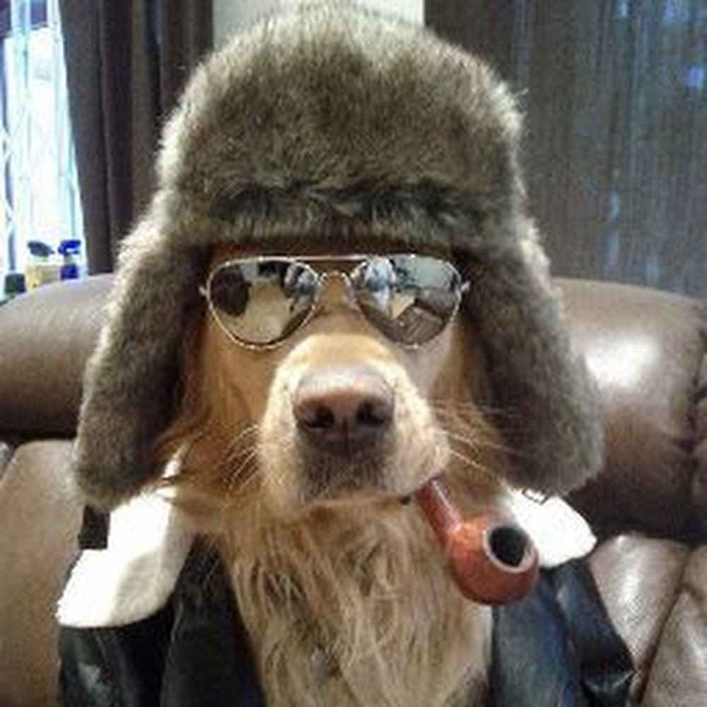 Meet your Posher, Jdog